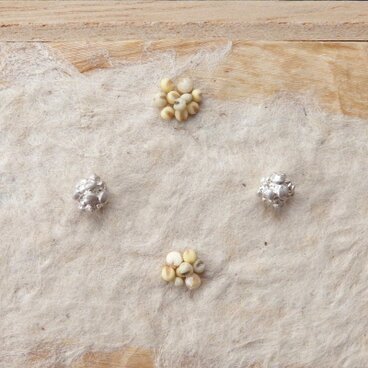 ＊穀物シリーズ＊粟ピアス（シルバー925／シリコンキャッチ）