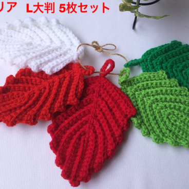 リーフのアクリルたわし[W-Bカメリア]L5枚組★小物置き★ガーランド★エコたわし