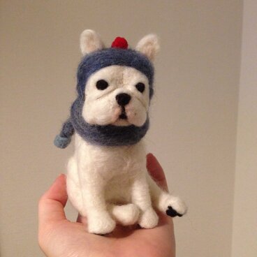 【K様ご売約済み】フレブルさんの冬支度