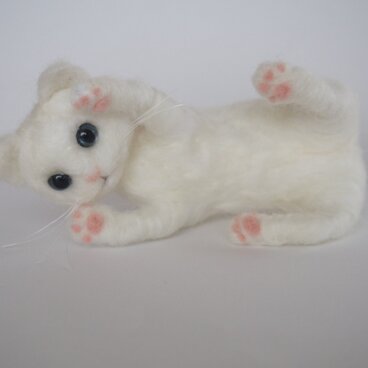 やんちゃな白猫ちゃん