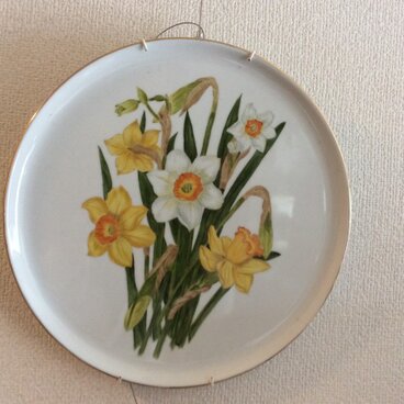水仙の絵皿