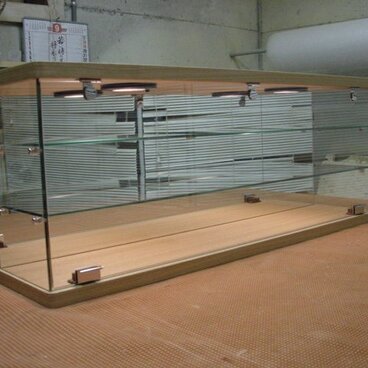 タモ材　強化ガラスコレクションケース