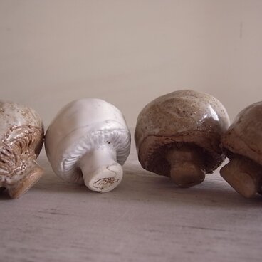 マッシュルーム