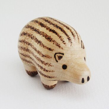 【タケシ観光】ウリボウ