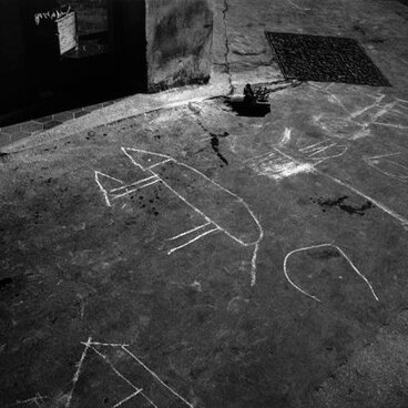 PORTRAIT OF A SCENE -「 無花果の木の下で」