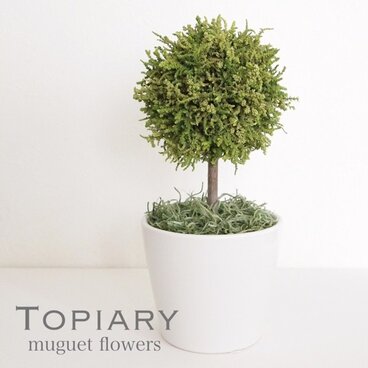 まんまる トピアリー