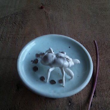 nature work せみの抜け殻