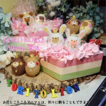 ころころアニマル雛キット（アレンジメント付き）