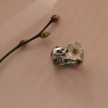 さくらスクエアリング２６