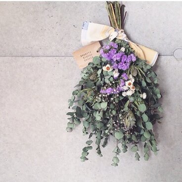 スワッグ・スターチスアンモビューム