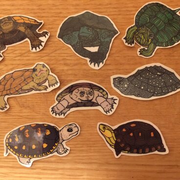 いろんなカメさんシール