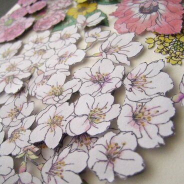 送って飾れるカード 正方形 花さんぽ【春桃色の路】染井吉野＆花菜＆山吹草＆バラ＆アネモネ