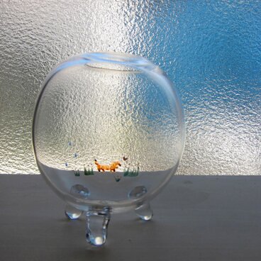 S様：散歩せなくんベース