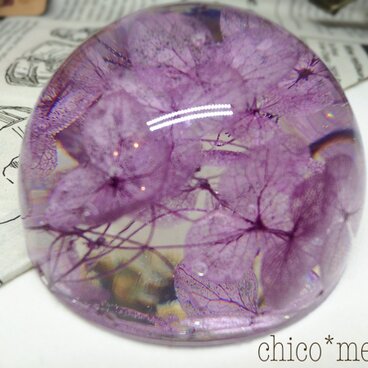 あじさいのプリズム