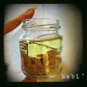 【訳あり・送料込】割れた胎児標本