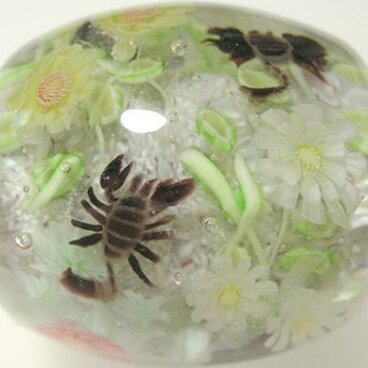 とんぼ玉　砂漠の花とサソリのとんぼ玉