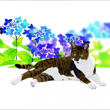 003ジム A4プリント