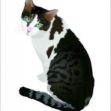 050小五郎 A4プリント