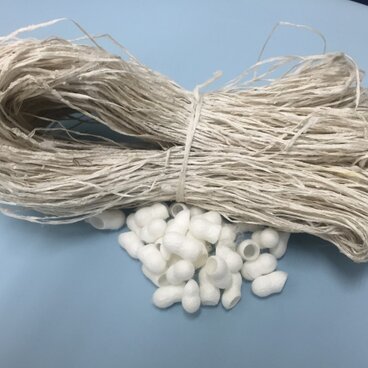 きびそ（生皮苧）純国産　群馬県産　B級ランク3000デニール