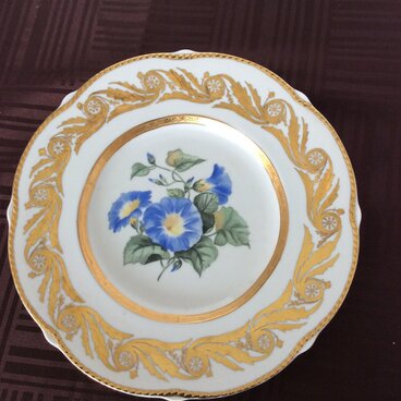昼顔の金彩皿