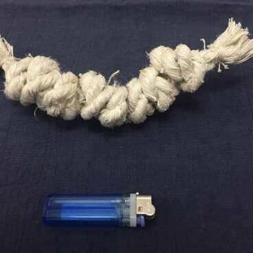 ☆現品限り☆sele ペット用歯磨きおもちゃ　Mサイズ　中型犬用　純国産きびそ