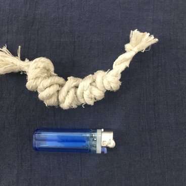 ☆現品限り☆sele ペット用歯磨きおもちゃ　Sサイズ　小型犬用　純国産（群馬県産きびそ）