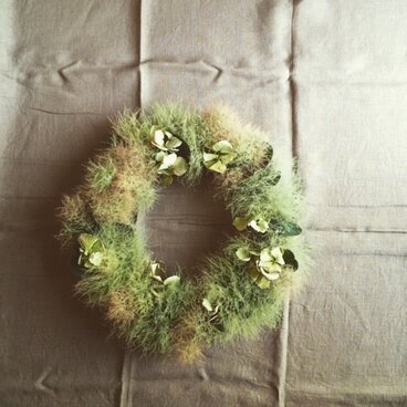 スモークツリーのリース