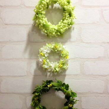 ライムグリーンの３連リース