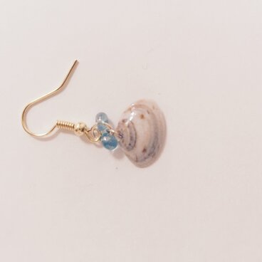 ☆低価格 貝殻アクセサリー☆