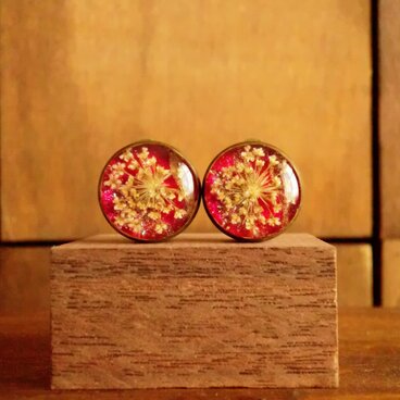 色色彩華 〔赤×白〕