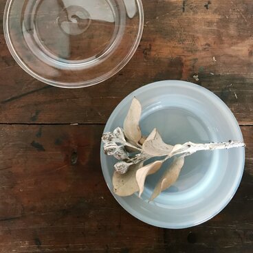 ツキノカサ PLATE ブルーグレー