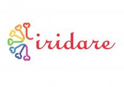 iridare embroidery