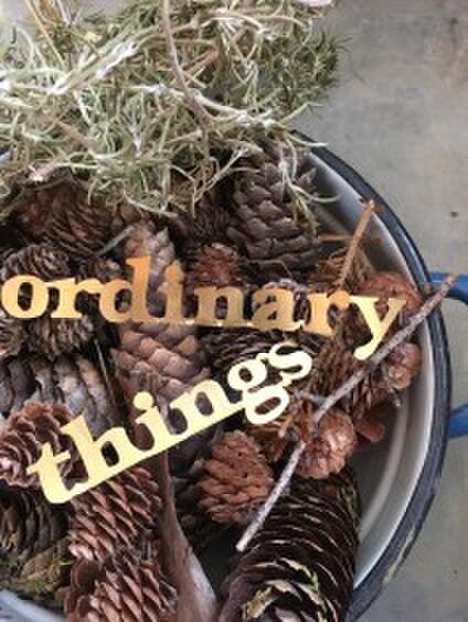 ORDINARY THINGS