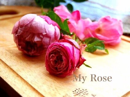 arba rose