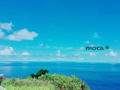 moca*