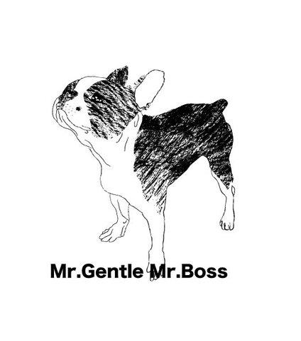 MrGentle MrBoss