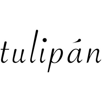 tulipan