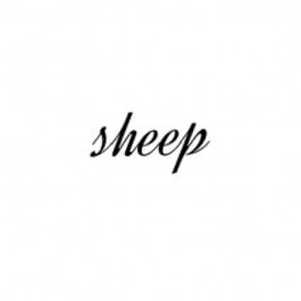 sheep