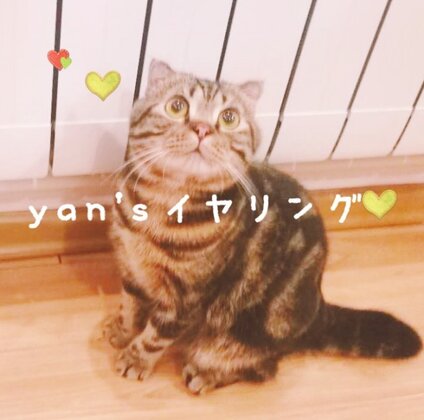 yan'イヤリング