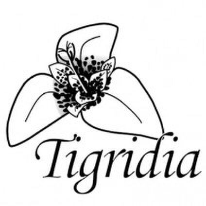 Tigridia