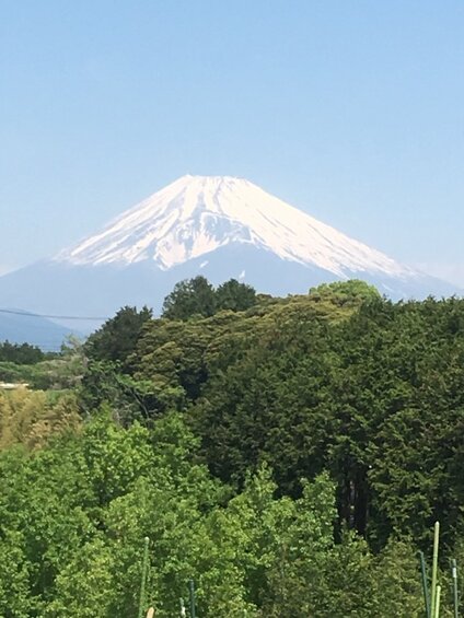 石原 昭子