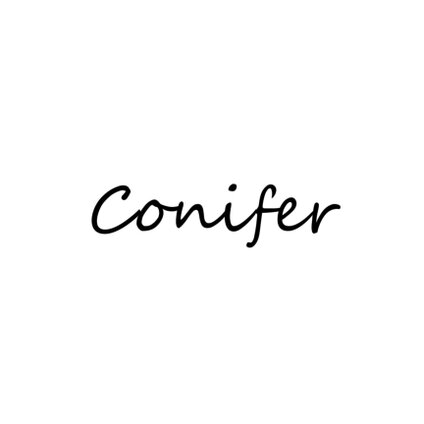 conifer