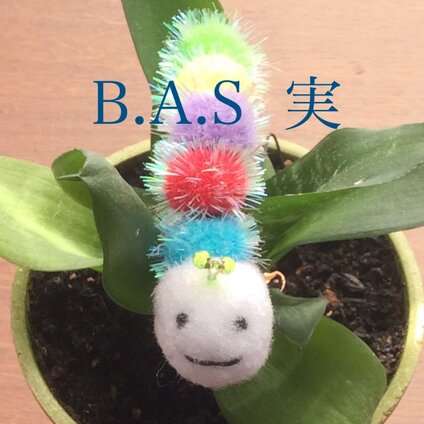 B.A.S  実