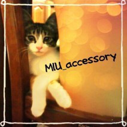 MIU_accessory