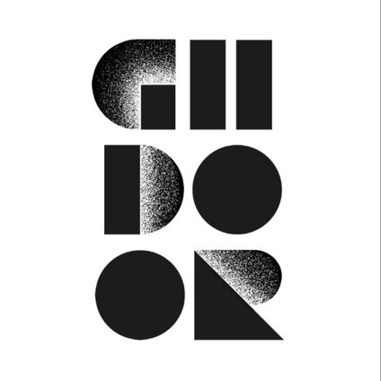 GiiDOOR