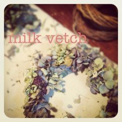 milk vetch