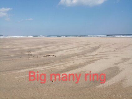 Big many ring