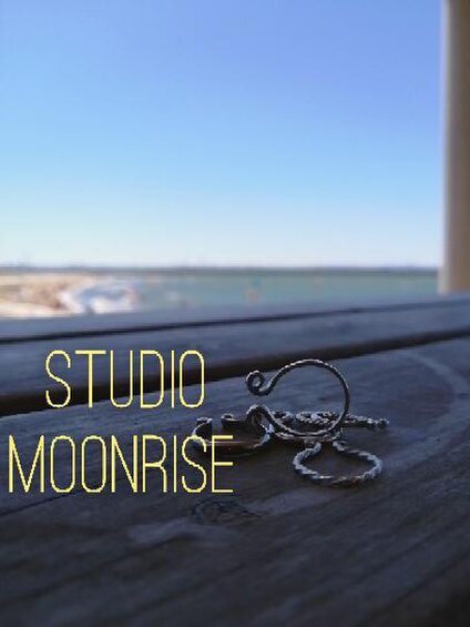 studio moonrise