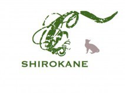 C Shirokane
