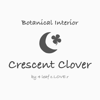 ☾ Crescent Clover ꕤ